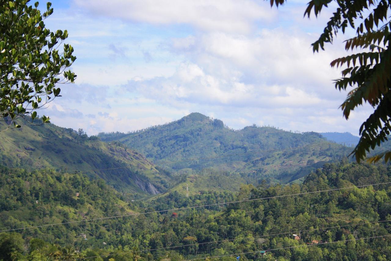 Nature Casa Bella Luaran gambar