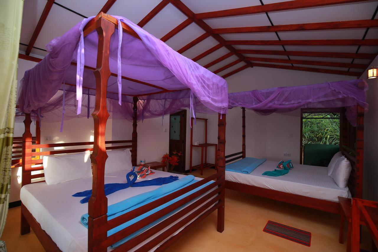 Nature Casa Bella Luaran gambar